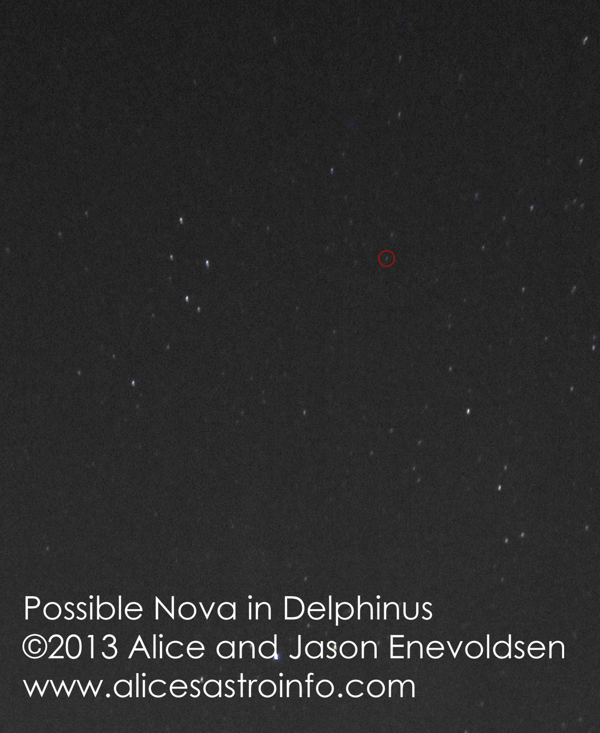 Delphinus Nova Closer